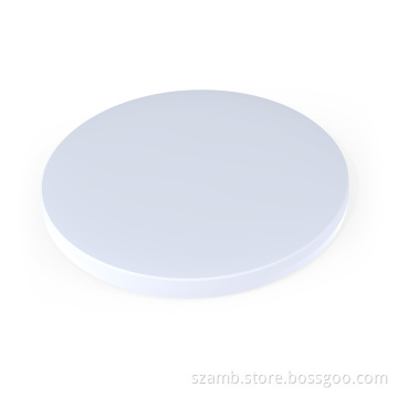 3W silver COB LED ceiling light